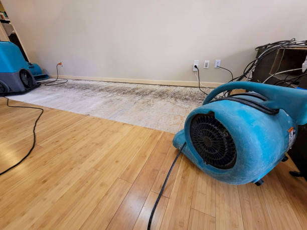 Professional Water Damage Repair technician working in Junction City, CA